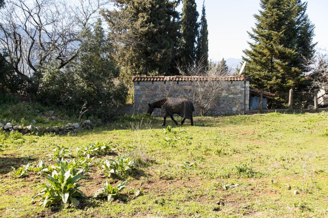 Raise Mountain Holiday home